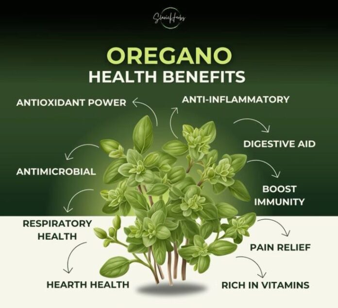 Oil of oregano benefits