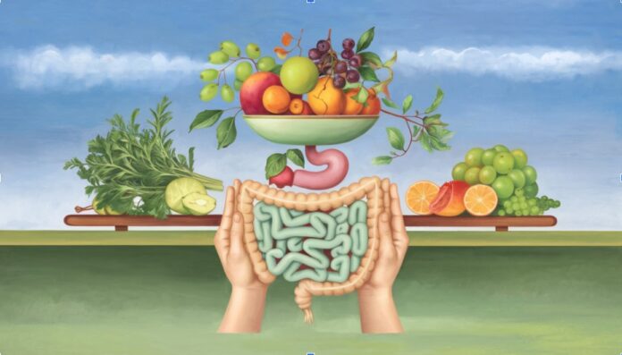 The image beautifully captures the essence of optimizing nutrition for athletes through natural supplements, featuring a harmonious arrangement of vibrant fruits and herbs set against a backdrop of calming greens, blues, and earth tones, subtly incorporating the human digestive system.